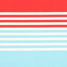 Load image into Gallery viewer, From Sea to Shining Sea Swim Trunks