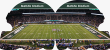 Load image into Gallery viewer, New York Jets 101 Board Book