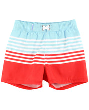 Load image into Gallery viewer, From Sea to Shining Sea Swim Trunks
