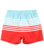 Load image into Gallery viewer, From Sea to Shining Sea Swim Trunks