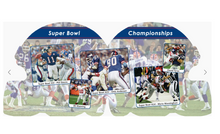 Load image into Gallery viewer, New York Giants 101