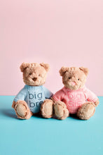 Load image into Gallery viewer, Big Sis Plush Bear