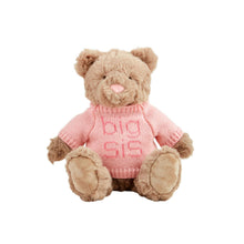 Load image into Gallery viewer, Big Sis Plush Bear