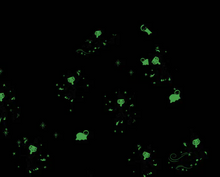 Load image into Gallery viewer, Witch GLOW IN THE DARK Pajamas