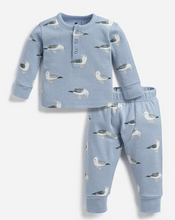 Load image into Gallery viewer, Seagull Set