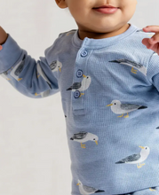 Load image into Gallery viewer, Seagull Set