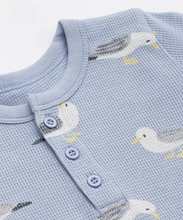 Load image into Gallery viewer, Seagull Set