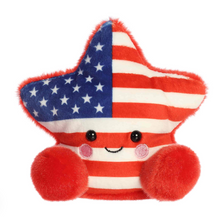 Load image into Gallery viewer, Americana Star Palm Pal