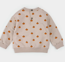 Load image into Gallery viewer, Little Pumpkin Set