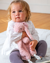 Load image into Gallery viewer, Bunny Lovey