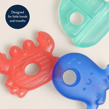 Load image into Gallery viewer, Cutie Cooler Nautical